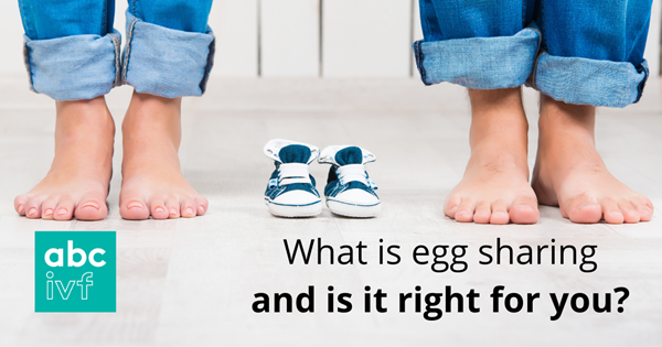 what-is-egg-sharing-and-is-it-right-for-you-ivf-blog-abc-ivf